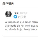 펠레스포츠 네이버블로그