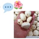 맛있는 알배기 쌈배추~ 꼬마양송이버섯 이미지