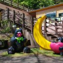 의신 베어빌리지 이미지