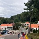 초록마을(경상남도 삼천포점) | 남해 여행 코스 | 독일마을부터 보리암까지 완벽 루트 정리