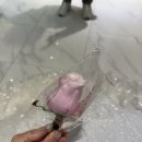 화니 | [화니플로르] 신랑 부토니에 후기