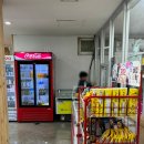 춘천호반체육관 | 춘천국민체육센터 호반체육관 수영장 원정 자유수영 후기 춘천 50M 수영장