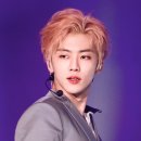 니피 이미지