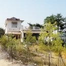 수브레드