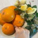 지승농장 이미지