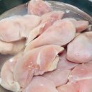 댕마카세 이미지