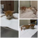 복운3리마을회관 이미지