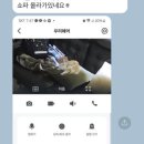 경민동물병원