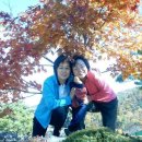 수정 Daum카페