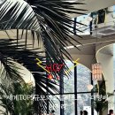 팔현로81 이미지