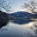 (주)삼성렌터카 이미지