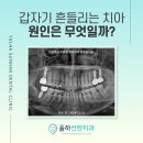 선한마음치과의원 이미지