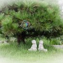 주남목장 이미지