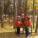 서울숲2 이미지