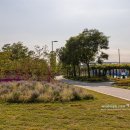 하계 배드민턴장 이미지