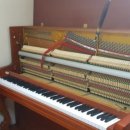 월영동165 이미지