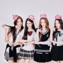 미야오 카카오 검색결과