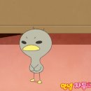 꼬꼬