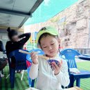 백자산목욕탕 | 대구 경산 아이랑 물놀이 가볼 만한 곳 경산백자산온천 야외 노천탕