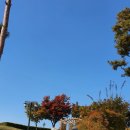 임실치즈마을 이미지