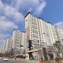 감계아내에코프리미엄 - 153414 | 감계아내에코프리미엄