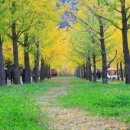 물빛펜션 이미지