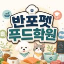 반포펫푸드학원에서 배우는 강아지 수제간식 창업 노하우 7가지