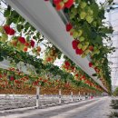 (주)비에스팜 이미지