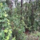 강화읍-11 이미지