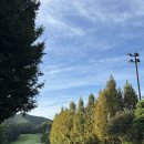 W골프(157)[스크린1 포함] | 골프존카운티 안성W 4인 노캐디 라운딩 솔직 후기 (그린피·잔디상태·샤워실까지)