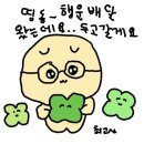 해운대지소 화장실 | 10월 끝자락의 가을 피크닉과 맛집 탐방기 🌼