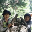 운정민박 이미지