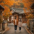 주식회사 펀앤비즈센터 | 2025년 숙박세일페스타 숙박할인권 놓치지 마세요~~!!