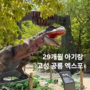 고성자연사박물관 | 공룡러버 아기랑 고성 공룡엑스포 방문 후기