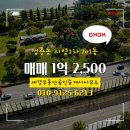 세경부동산공인중개사사무소 이미지