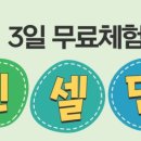 미라클인셀덤 이미지