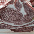 명품한우소잡는날 이미지