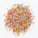 슬로우터틀 이미지