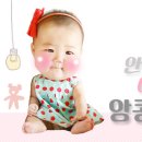 아미고파파