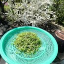 해돈농장 이미지