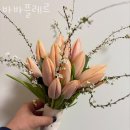 바바플레르