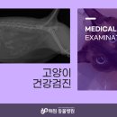 해원 동물병원 이미지