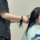 과천 데이지엘 헤어 아베다 컨셉 미용실 유겸 디자이너 클리닉 후기