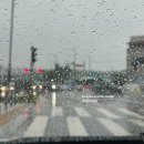 미사 나룰 모터스 이미지