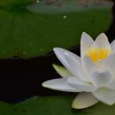 천생연분마을 이미지