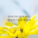 하나님의 교회에서 세상 끝날 까지 지켜야 할 하나님의 계명 안식일 이미지