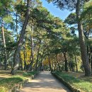 경천애인작은도서관 | 최초의 서원, 영주 소수서원