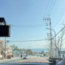 평화티슈 | [부산 청사포 카페] 내돈내산 오션뷰로 힐링하는 ‘샌디블루’ 솔직 후기