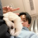 온정텐동
