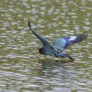 물수제비 이미지